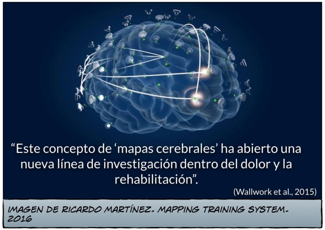 "Este concepto de mapas cerebrales ha abierto una nueva línea de investigación dentro del dolor y la rehabilitación"